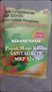 PUPUK MKP 52+34 SANTAGROW 1KG Pupuk Mono Kalium Untuk Penyubur Tanaman