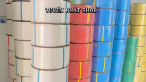 Dây Đai Nhựa PP Bản 9-12-15-19mm (cuộn 10kg) Màu Xanh Dùng Đóng Gói Hàng Hóa...