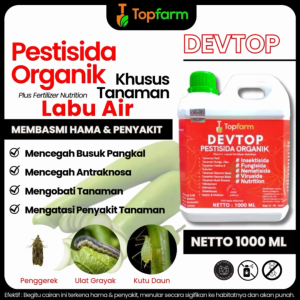 Obat Untuk Hama Labu Air / Obat Hama Batang Labu Air / Obat Semrot Hama Labu Air / Obat Hama Labu Air / Obat Daun Keriting Labu Air / Pestisida Labu Air / Obat Jamur Akar Labu Putih / Obat Hama Labu Putih