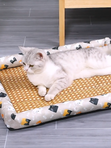 Junjun นอนสัตว์เลี้ยง ที่นอนสุนัข แบบเย็น เย็นสบาย เสื่อหวายระบายอากาศ ที่นอนแมวเย็น