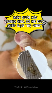 Vemedim Imida Plus for cat - dùng ngoài da diệt bọ chét bọ nhảy ve rận cho mèo1 hộp 3 tuýp