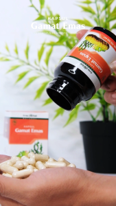 Gamat Emas Kapsul Obat Herbal Ekstrak Teripang Emas Asli HALAL dan BPOM