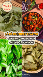 Lá cà ri Ấn Độ 500g curry leaves gia vị nấu cà ry cari khô thơm - Lãn Ông