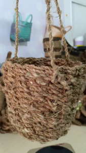 Pot Gantung Sabut Kelapa: Pot Ramah Lingkungan