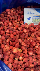 Dâu tây sấy lạnh 100g và tổng hợp 20 loại trái cây hoa quả sấy khô tự chọn - Thảo Dược Hạnh Nguyên