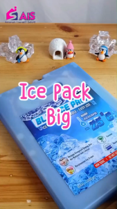 ICEGELKU ICE PACK BIG 30x22cm ICE PACK SIAP PAKAI ICE GEL PACK KOTAK BLUE PACK ICEPACK COOLER BOX ICEGEL COOLER BAG ICE PACK AIR COOLER ICE PACK BESAR