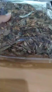 [ORIGINAL] TERMURAH DAUN BELIMBING WULUH KERING 500 GRAM