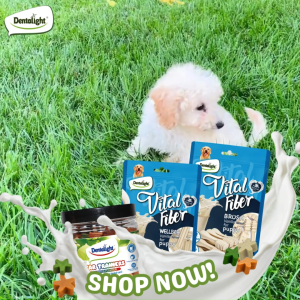Dentalight Dog Goats Milk Dental Treats for Puppies Healthy Bones with Star Trainers Bundle 450g