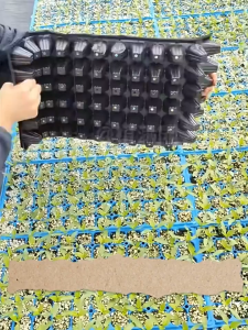 Multi-Hole Seedling Starter Trays 32/50/105/128/200 for Garden Planting - Buy 5 Get 1 Free Flexible Plastic Seed Germination Pots with Drainage Holes New