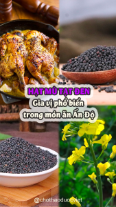 Hạt mù tạt đen nguyên chất 100g Wasabi gia vị sốt chấm món Âu cay thơm chuẩn vị