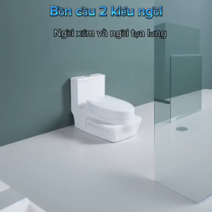 Bồn cầu ngồi xổm cao cấp với 2 chức năng để ngồi mã T2500X