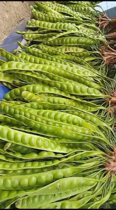 Pete tua isi seikat 10