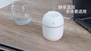 220ML Mini Silent Air Humidifier Portable Essential Oil Sprayer Office USB with LED Night Light Atomizer