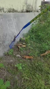 Sapu Taman Daun Besar Garden Broom Garu Sapu Sampah Daun