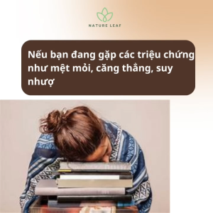 Linh chi tỏi đen Sun tăng đề kháng giảm mệt mỏi giảm căng thẳng giảm rối loạn tiền đình suy nhược thần kinh với thành phần là các vitamin B – Nature Leaf