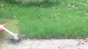 【รับประกัน 10 ปี】【จัดส่งฟรี】เครื่องตัดหญ้าแบตเตอรี่ลิเธียม แบตเตอรี่หนึ่งก้อน ชาร์จหนึ่งครั้ง เครื่องตัดหญ้ามาตรฐานยุโรป 30000W ที่กันจอนสวน เครื่องตัดหญ้าไฟฟ้า รถตัดหญ้ เครื่องตัดหญ้า สีแดง