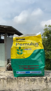 Fungisida Pemulus 1Kg 80WP BASF