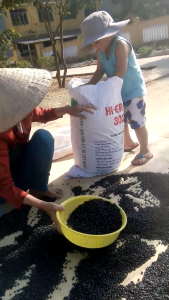 Đậu Đen Xanh Lòng Quê Bở Bùi Sạch Không Thuốc Nấu Chè Nấu Cháo Làm Trà Uống