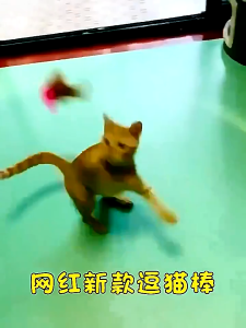 Kalung Mainan Bulu Interaksi Kucing Cat Teaser Stick Pet Toys