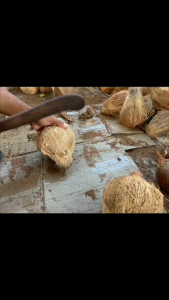 200ml น้ำมันมะพร้าว 100% สำหรับทาผิว เช็ดหน้า ล้างเครื่องสำอางค์ ทาผิวและบำรุงผม