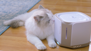 PetSnowy Snow+ PREMIUM Cat Water Fountain 2 L. น้ำพุสัตว์เลี้ยงอัตโนมัติ ความจุ 2 ลิตร