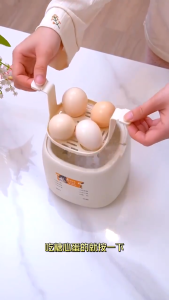 Egg Boiler Household Small Hard Boiled Egg Maker Automatic Power off 6 Modes Breakfast Cooker 3 Pin Plug
