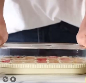 Myelement Ice Cube Tray with Lid and Bin 21 Pcs Ice Cubes Mold for Freezer Easy Release Quick Filling Without Touching