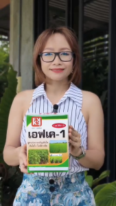 ต้นข้าว ใบซีด ใบลาย แห้ง ล่วง โตช้า ผลผลิตต่ำ อาจเกิดจากการขาดธาตุไนโตรเจน ใช้ ปุ๋ย FK-1 ฉีดพ่น