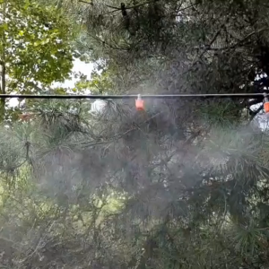 Combo 10/20 Béc Phun Sương Đơn Cam Nối Lỗ 6mm