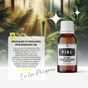 Eco Premium Pine Needle Essential Oil 100% Pure Therapeutic Grade Steam Distilled 100% Pure Vegan Aromatherapy