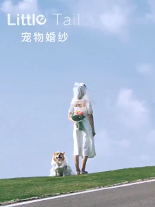 【Online】 Whisker Princess Lace Wedding Dress Dog Clothes Puppy Clothes Cat Clothes Pet Clothes Dog Dress Puppy Dog Dress Cat Dress Dog Clothes Female Puppy Clothes Female Cat Clothes Female Pet Clothes Female Large Dog Big Dog Golden