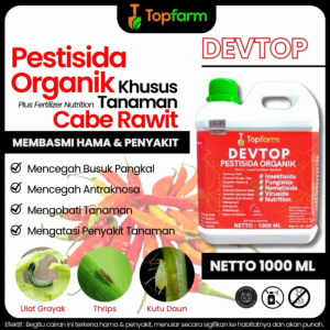 Pestisida Tanaman Cabe & Solusi Pengendalian Hama