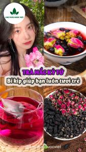 5-10 gói Trà hắc kỳ tử mix sẵn (Hỗ trợ ngăn ngừa lão hóa phòng ngừa ung thư) - Chợ Thảo Dược Việt