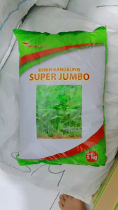 BENIH BIBIT KANGKUNG UNGGUL ISI 5 KG SUPER JUMBO GARUDA SEED
