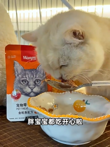 Pate Wanpy gói 80g cho mèo con mèo lớn mèo kén ăn Pate mèo tổng hợp 7 vị