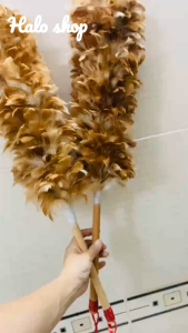 Chổi quét bụi lông gà mái Việt  Loại Lớn mềm mại đẹp hàng xuất khẩu giao nhanh 24h