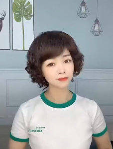 [HOẢ TỐC TẶNG LƯỚI] Tóc giả nữ nguyên đầu trung niên cao cấp