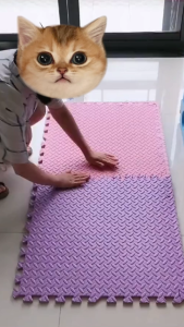 BLUE WHALE แผ่นรองคลาน รองคลาน EVA 100% แถมขอบปิดไม่ต้องจ่ายเพิ่ม ขนาด 60*60 เซนติเมตร พร้อมจัดส่งในไทย