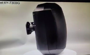 Waterproof Wall Mount Speaker suitable for Indoor and Outdoor application