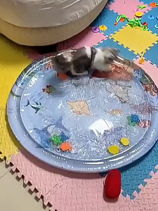 Thảm nước nệm nước bơm hơi cho bé nằm mát lưng tăng khả năng vận động- KHÔNG KÈM BƠM