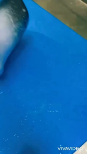 TEAM KITCHEN / CHILLED FROZEN SALMON PORTION 180G/PCS NO PORK NO LARD