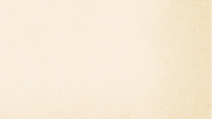 หนังสือเด็ก สมุดภาพระบายสีแสนสนุก ชุด สัตว์โลกน่ารัก ค.2 (พิเศษ)