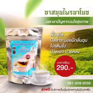ชาสมูนไพร ชามาโนช สำหรับ 4 ห่อ แถมฟรีแก้วเก็บความร้อน 1 ห่อ (มี 20 ซอง) สินค้าขายดี ชามาโนช