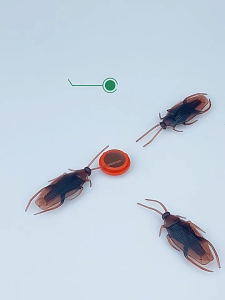 【20 years without cockroach】Cockroach killer Cockroach trapp 20pcs Coackroach killer Strong cockroach killer bait Safe&Non-toxic Gently paste&Easily placed Farewell to cockroaches Effective cockroach killer Insect repellant Cockroach trap killer