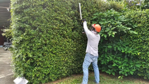 LHT5120 เครื่องแต่งพุ่มไม้ไร้สาย 20 นิ้ว