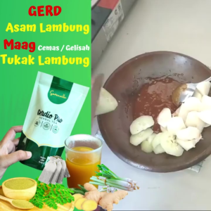 gerdiopro obat lambung 100% original