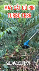 Máy cắt cỏ pin máy cắt cỏ cao cấp Turbo TB36 giá rẻ tại Hà Nội