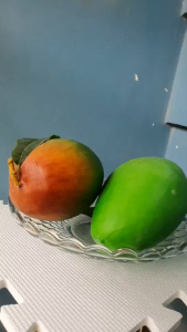 1 Quả xoài cát Hòa Lộc size lớn kích thước 20cm giả - Trái cây giả - TUYET XUAN SHOP