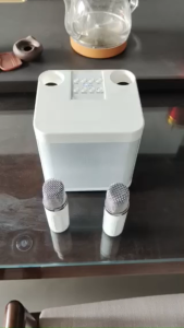 Karaoke Bluetooth Speaker with Mic Dual Microphone Mini Speaker Sound with Mic Amplifier Family Party Home Music Light