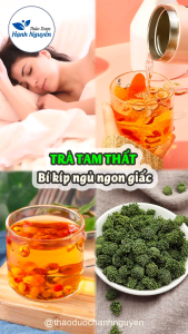 10 Set trà nụ hoa tam thất mix set (Nụ hoa tam thất cam thảo kỳ tử táo đỏ hoa nhài) - Thảo Dược Hạnh Nguyên